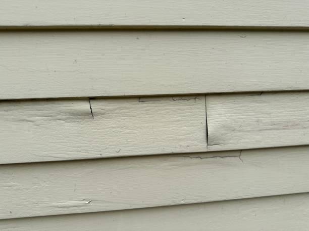 Best Custom Trim and Detailing for Siding  in Rockmart, GA